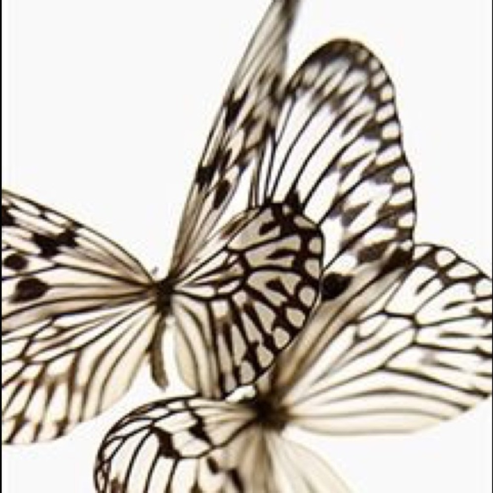 Meet your Posher, Claire